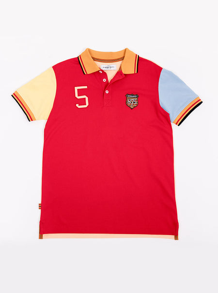 Flat lay of men's multicoloured polo shirt with giant number 5 on the back, made of 100% cotton.